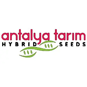 Antalya Tarım (Islah)
